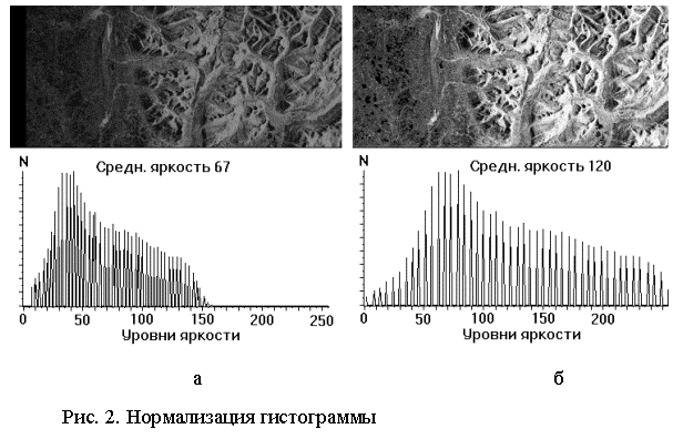 Подпись: а б Рис. 2. Нормализация гистограммы